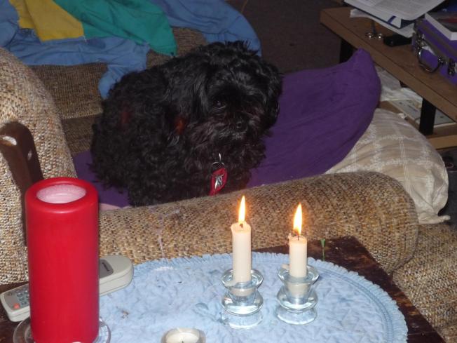 416111_3028021694076_399525806_o