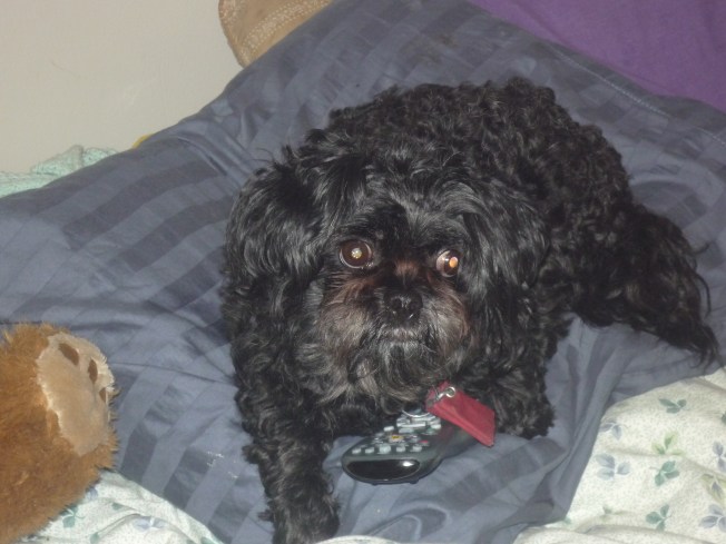 Shadowremote 3648x2736